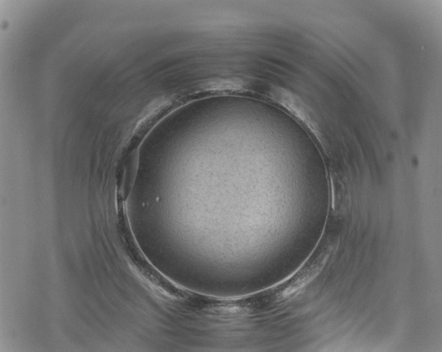 X0000074290253200609011414