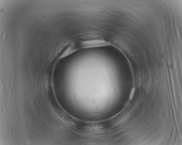 X0000074290255200609011414