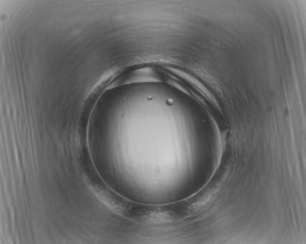 X0000074290256200609011414