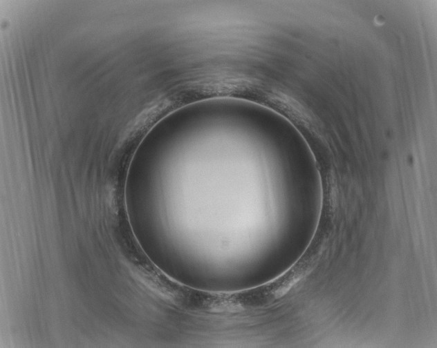 X0000074290258200609011414