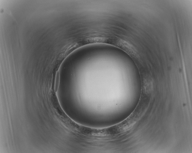 X0000074290259200609011414