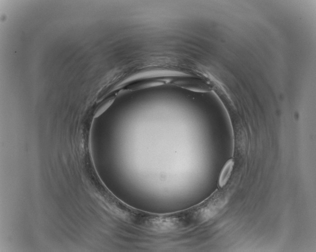 X0000074290261200609011414