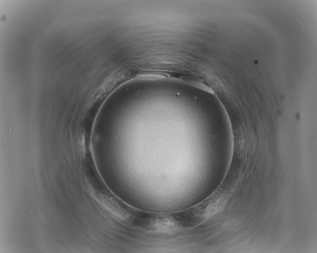 X0000074290262200609011414