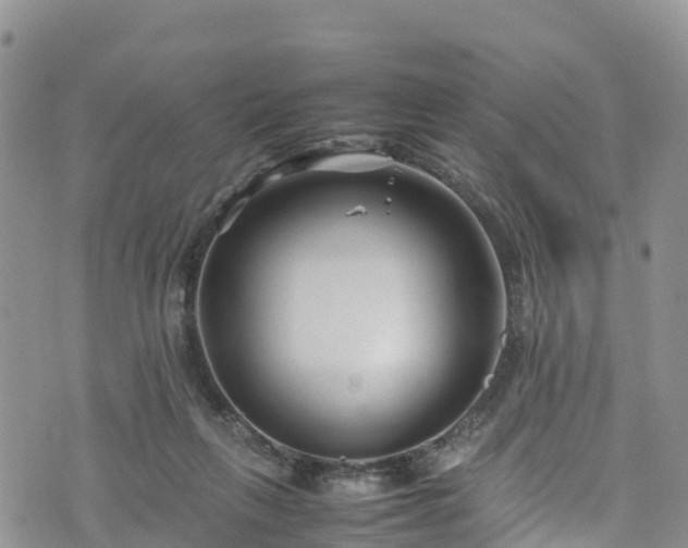 X0000074290263200609011414