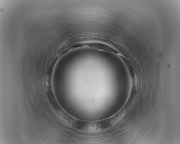 X0000074290264200609011414