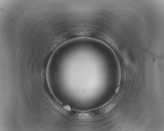 X0000074290265200609011414