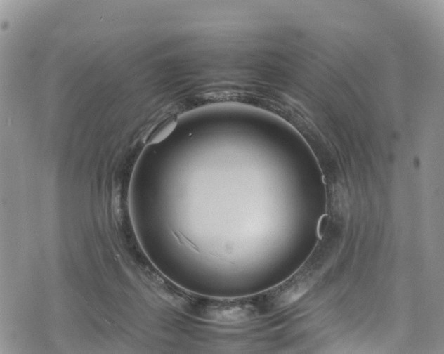 X0000074290267200609011414