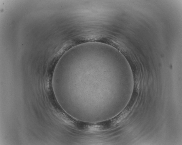 X0000074290268200609011414