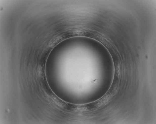 X0000074290270200609011414