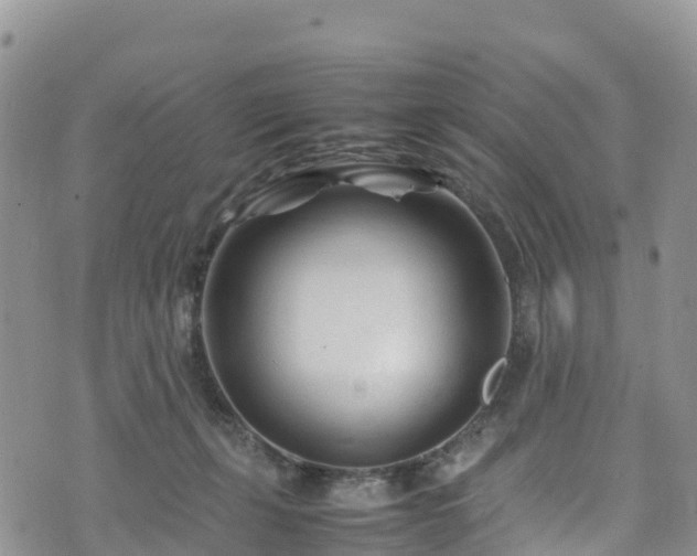 X0000074290271200609011414