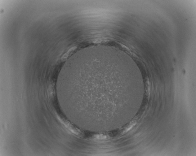 X0000074290272200609011414