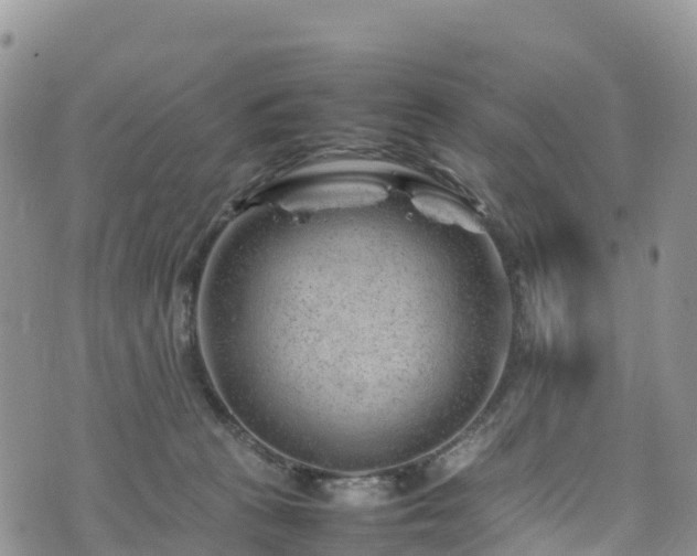 X0000074290273200609011414