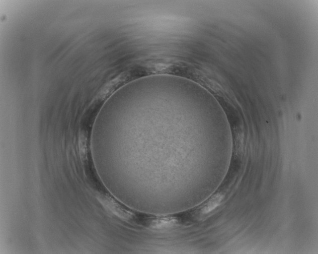 X0000074290274200609011414