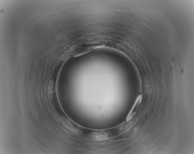 X0000074290275200609011414