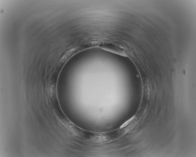 X0000074290276200609011414