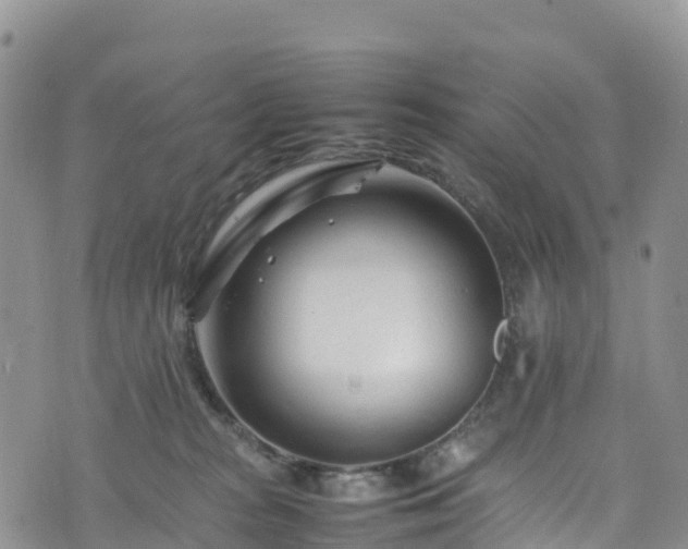 X0000074290277200609011415