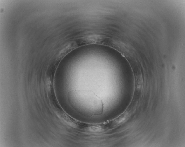 X0000074290279200609011415