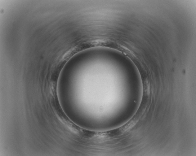 X0000074290280200609011415