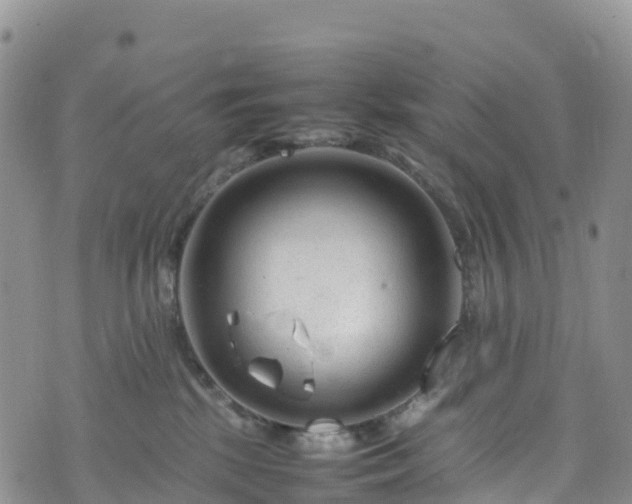 X0000074290281200609011415