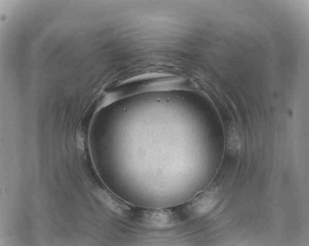 X0000074290282200609011415