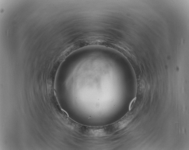 X0000074290283200609011415