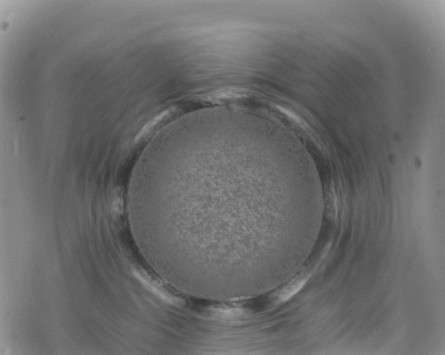 X0000074290284200609011415