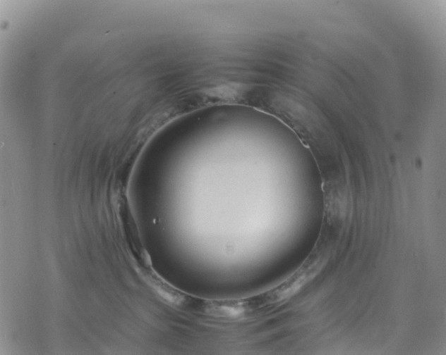 X0000074290285200609011415