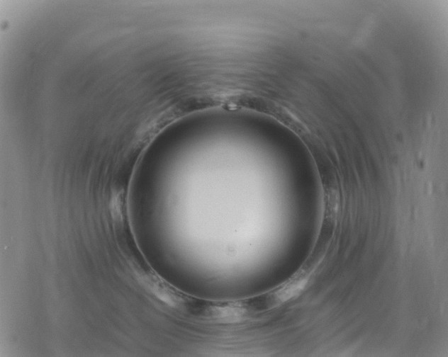 X0000074290286200609011415