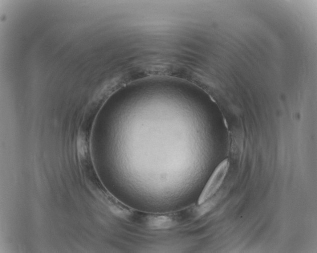 X0000074290287200609011415