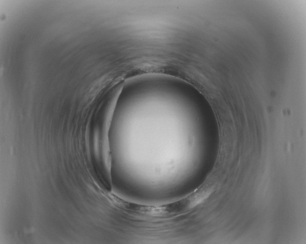 X0000074290288200609011415