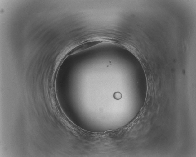 X0000074290289200609011414