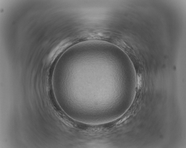 X0000074290291200609011414