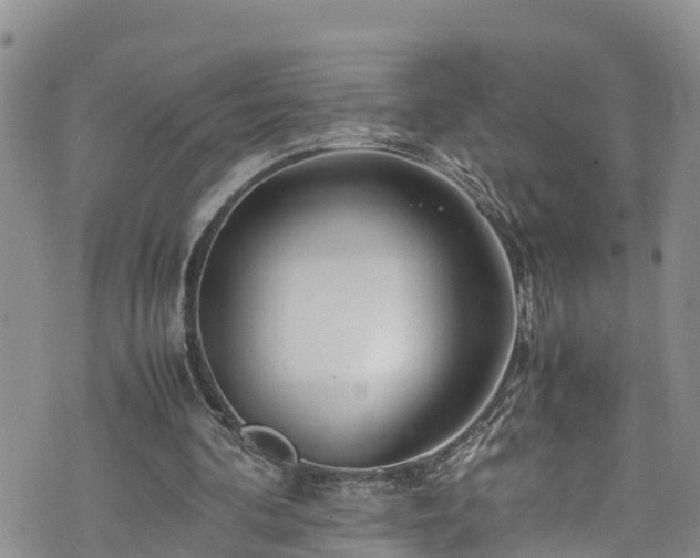 X0000074290292200609011414