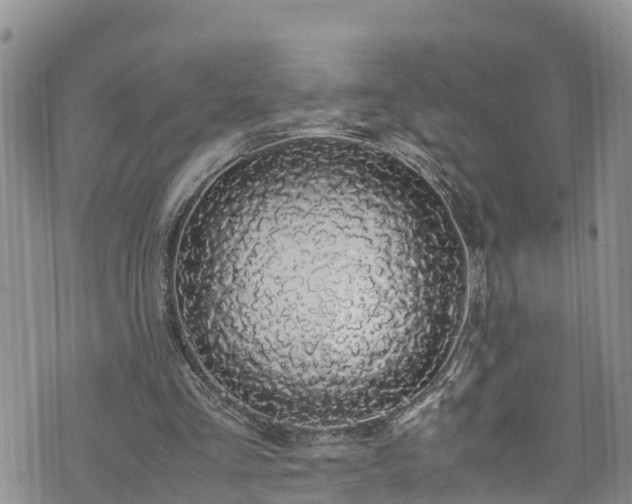 X0000074290293200609011414