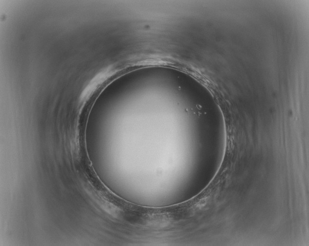 X0000074290296200609011414