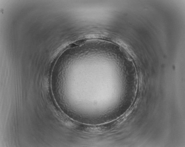 X0000074290297200609011414