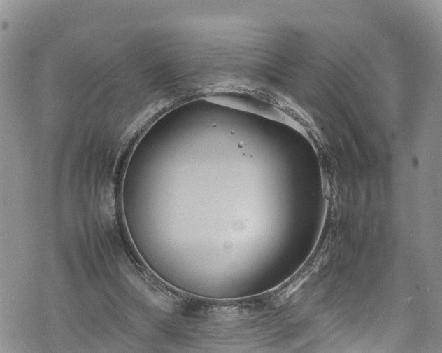 X0000074290298200609011414