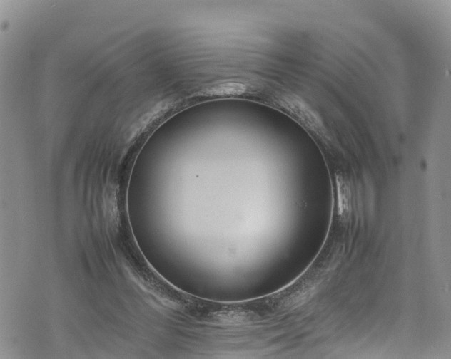 X0000074290300200609011414