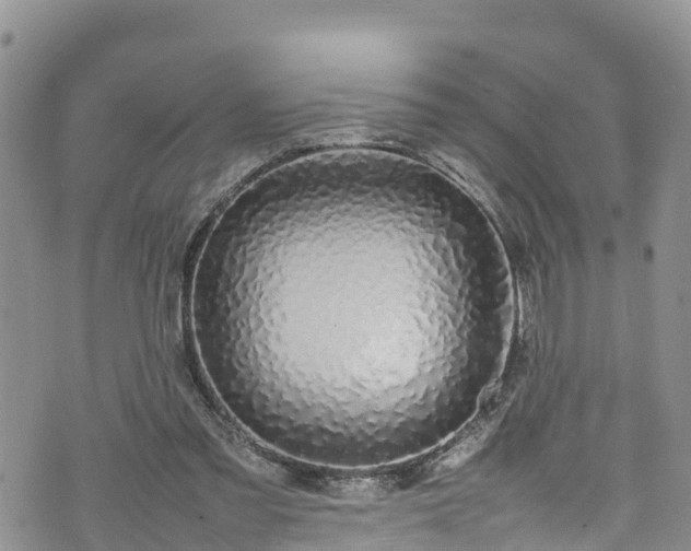 X0000074290301200609011414