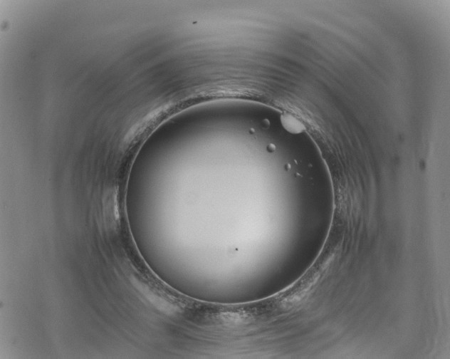 X0000074290302200609011414