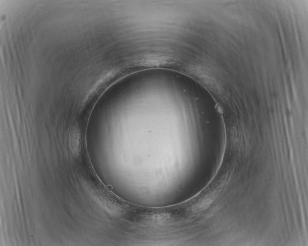 X0000074290304200609011414