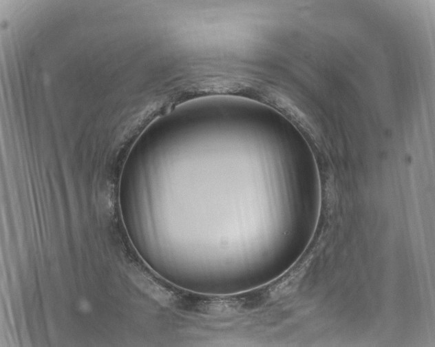 X0000074290305200609011414