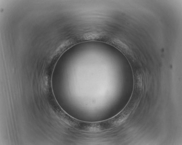 X0000074290308200609011414