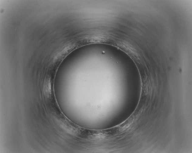 X0000074290310200609011414