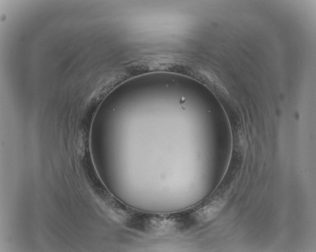 X0000074290311200609011414