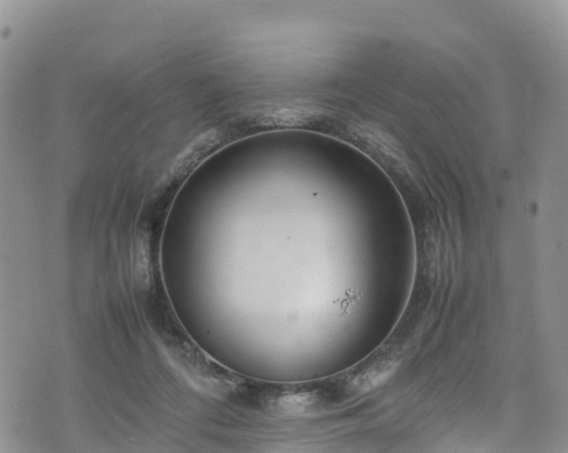 X0000074290312200609011414