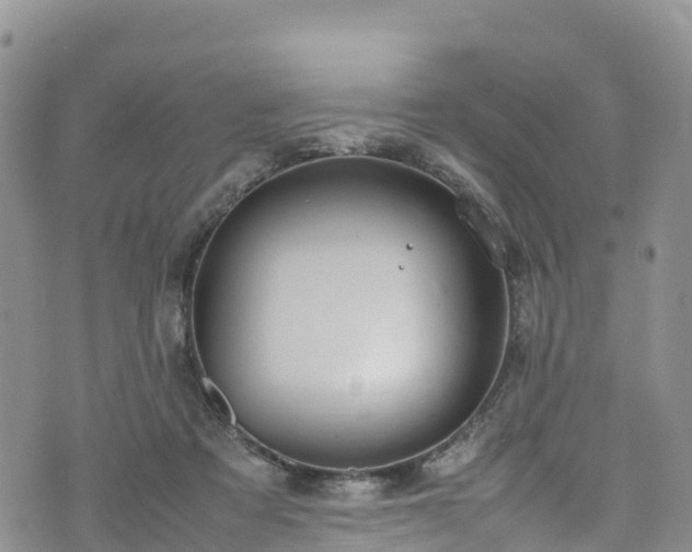 X0000074290313200609011413