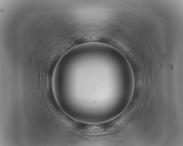 X0000074290315200609011413