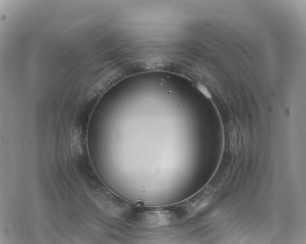 X0000074290316200609011413