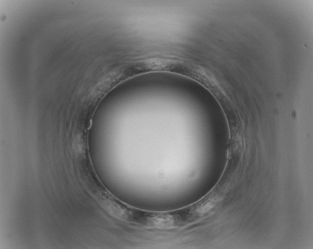 X0000074290317200609011413